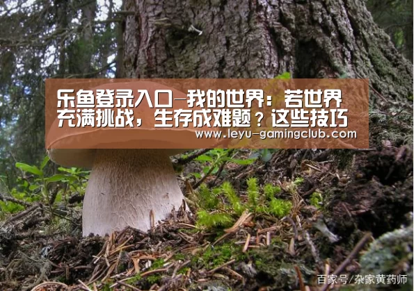 乐鱼登录入口-我的世界:若世界充满挑战,生存成难题?这些技巧或许会帮上忙(图2) 乐鱼电竞