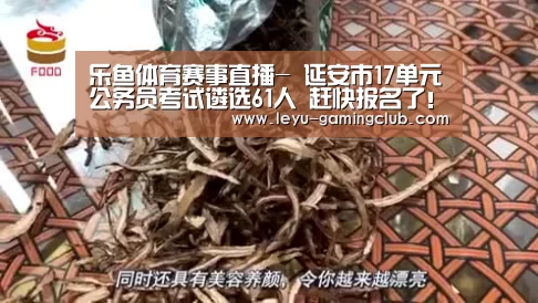 乐鱼体育赛事直播-
延安市17单元公务员考试遴选61人 赶快报名了!(图1) 乐鱼体育APP